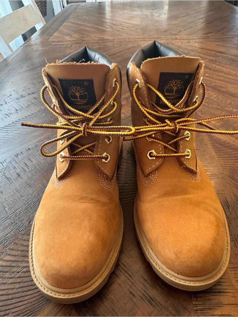 Timberland Youth 6-Inch Boot in Wheat and Dark Brown Collar